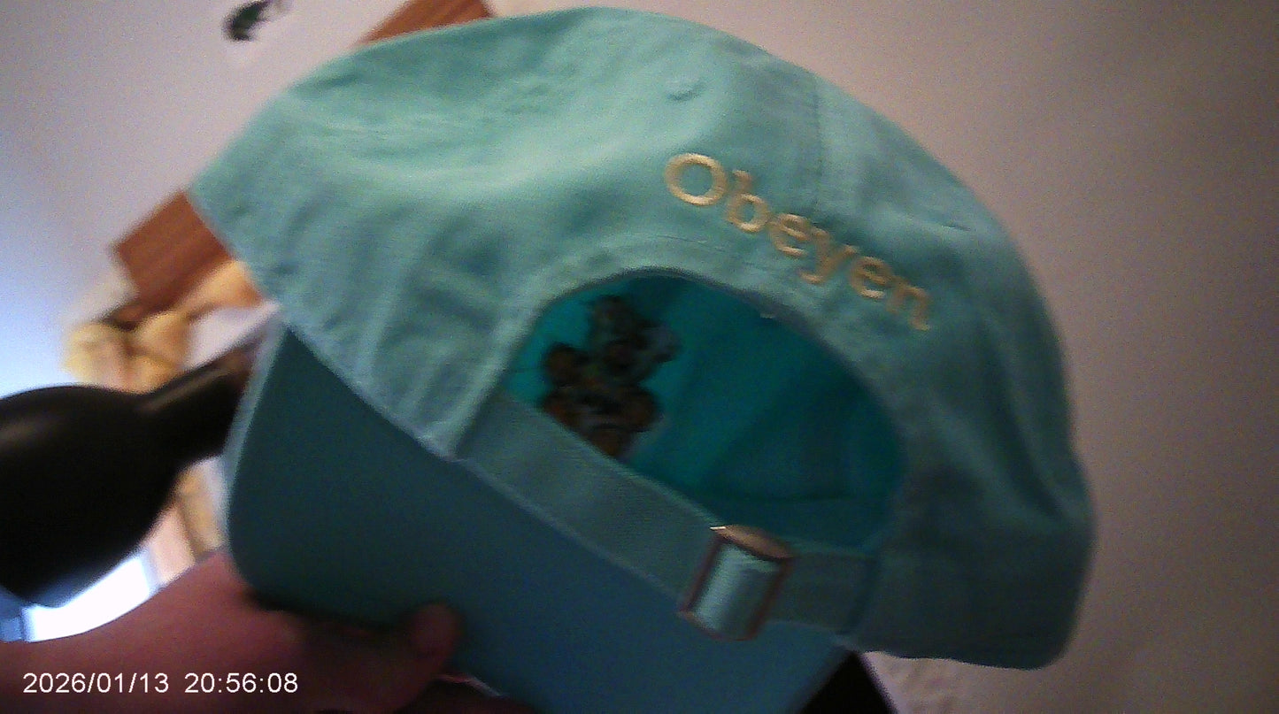 Sexuel Pour Les Femmes/ Ursa Princesse Mignon Logo/6P Dad Hat/LIGHT TEAL