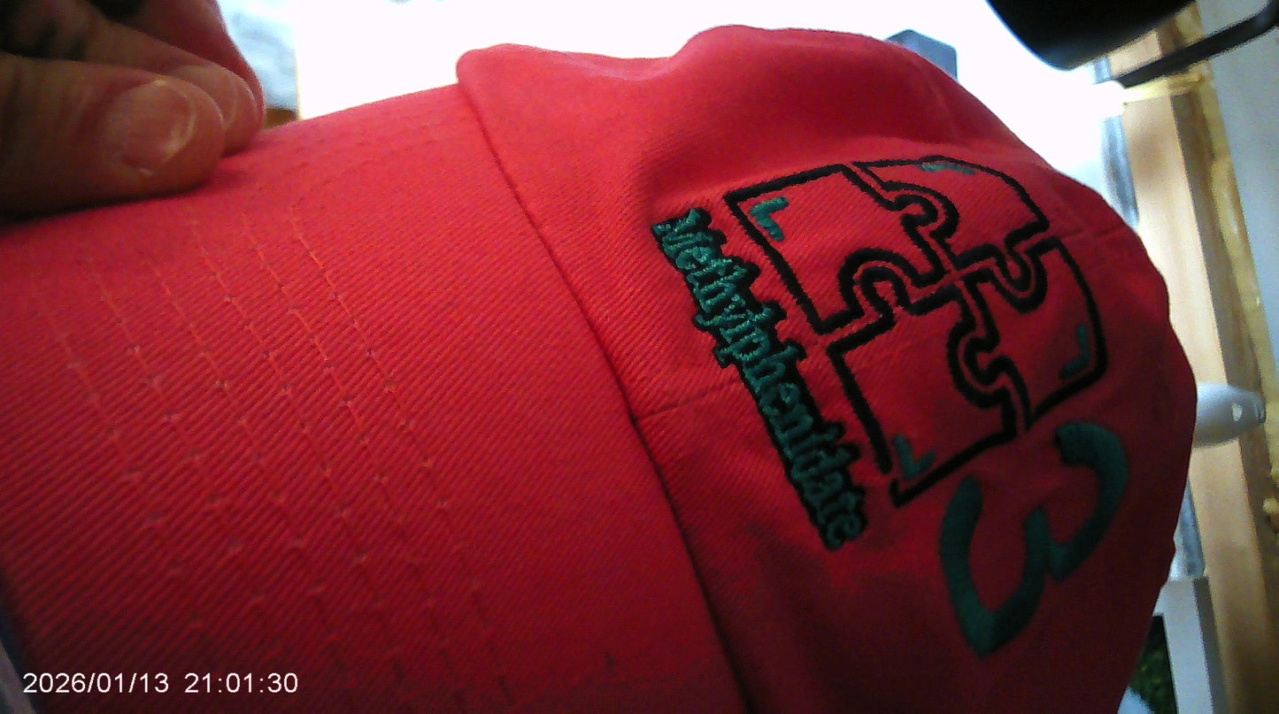 Methylphenidate:::/Jigsaw Square '3' Logo 6P Dad Hat/PINK