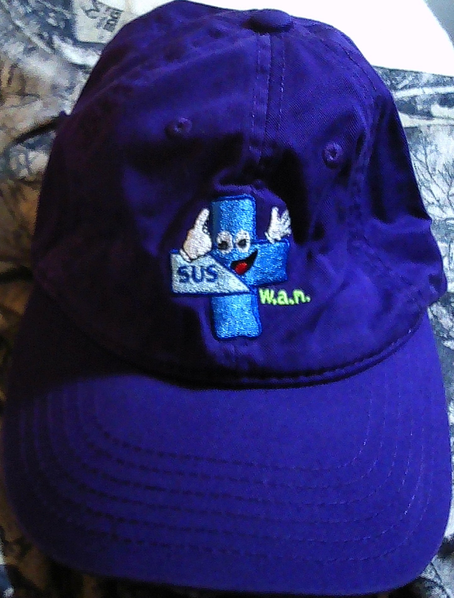 Wide Area Network/SUS-PERPFACE Mascot w.a.n. LOGO/6P DAD Hat/PURPLE